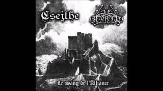 Ziel Bevrijd - Perdu à jamais