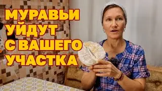 МУРАВЬИ БЕГУТ С ОГОРОДА СРЕДСТВО  СВОИМИ РУКАМИ ИЗ КОРОК ПОМЕЛО