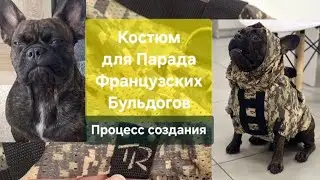 Костюм для Парада Французских Бульдогов #2024 #собаки #shorts #frenchbulldog #индивидуальный пошив