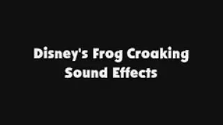 Disney's Frog Croaking SFX