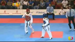 Natalia Forcada (ARG) v Nikki Martinez (PUR) | Taekwondo at the 2011 Pan Am Games