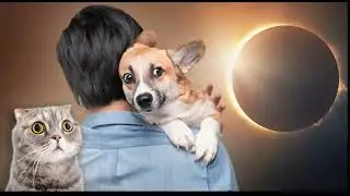 PREPARE FOR THE SOLAR ECLIPSE!