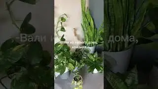 Вали 💯 