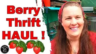 Berry DELIGHTFUL Thrift Store Haul!!!