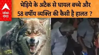 Behraich Behdia Attack: भेड़िये के अटैक से घायल बच्चे और 58 वर्षीय व्यक्ति की कैसी है हालत ?