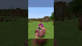 ride all mobs 