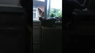 Что мне дождь...