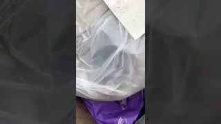 Petsmart dumpster jackpot! 