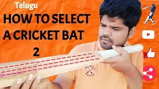 Select a cricket bat || (Part2) ||【తెలుగు】