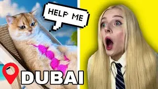 This SHEIKH stole my CAT...😭