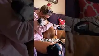 #lovely #animals #cutespets #funny #love #shortvideo #shorts #dog #dogs