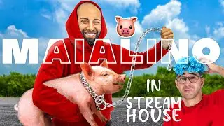 REACTION di TEKNOYD e STREAM HOUSE 2.0 al CUCCIOLO di MAIALINO che ho COMPRATO !