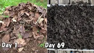 How to make leaf mold in just about 2 months