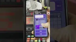 iPad & iPhone Control Ableton Live/NI Maschine/Korg Kaoss with Synced Link Loopers