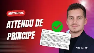 L'attendu de principe en droit : définition et exemples