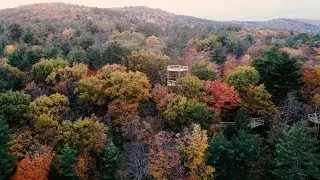 CANOPY WALKWAYS OF THE WORLD - VINS Forest Canopy Walkway