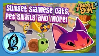 Sunset Siamese Cats, Pet Snails and More! | Animal Jam