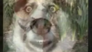 Sisy Am Sorry "Fluffy"-Danny (Actvate HQ for HighDef)