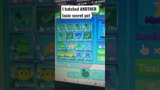 i hatched ANOTHER toxic secret pet in REBIRTH CHAMPIONS X!!!