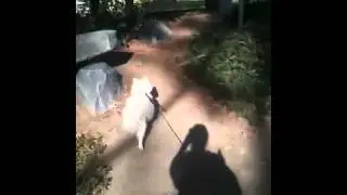 Kharma - saving the world from squirrels.