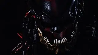 The Ultimate Mr Black Predator
