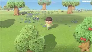 camknows Twitch Channel Trailer