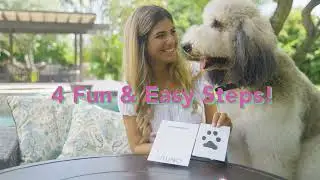 Shop Pet Paw and Claw Print Clean - Touch Ink Pad Kit by Luna Bean