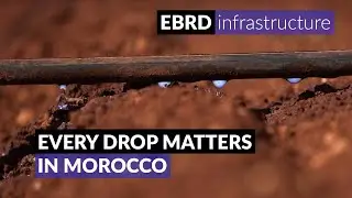Every drop matters in Morocco