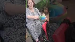 Thorpe Park introduce wheelchair benches in there pup