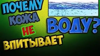 Почему кожа человека не впитывает воду?