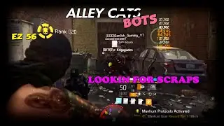 Alley cats