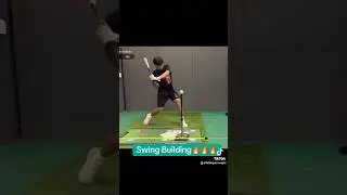 It’s what we do! #baseball #hittinginstruction #youtubeshorts #swingart