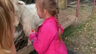 Конный вечер