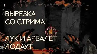 Лук и Арбалет вырезка со стрима #huntshowdown