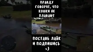 ПРАВДУ ГОВОРЯТ, ЧТО КОШКИ НЕ ПЛАВАЮТ =) #shorts