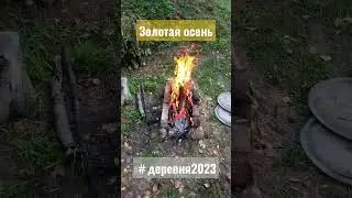 Золотая осень