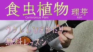 【Lv.4】食虫植物  理芽 / Carnivorous Plant - RIM ウクレレ弾き語りレッスン