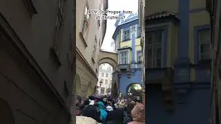 Would you still go? #travel #christmas #tourism #czech #europe #fyp #shorts #travelvlog #winter #fy