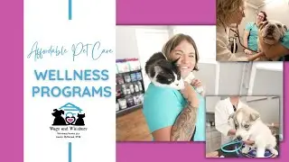 Affordable Pet Care | Williamsfield Veterinarian | Elmwood Veterinarian