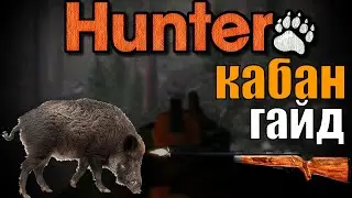 A guide to hunting wild boar: how and what to use