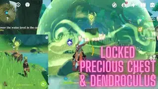 Yasna Monument Locked Dendroculus and Preciuos Chest Unlocked, Sumeru