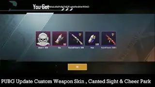 Weapon Crafting , Canted Sight & New Cheer Park in PUBG Update