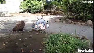 Peko Peko Peko