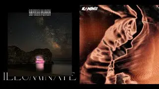 Illuminate X Get Down