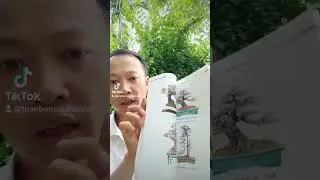 Cách tạo hình cây cảnh cực đơn giản