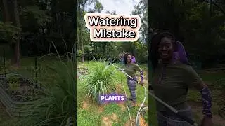 Tips for Watering Garden