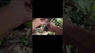EMANG ASIK LIHAT PELAMPUNG NAIK TURUN