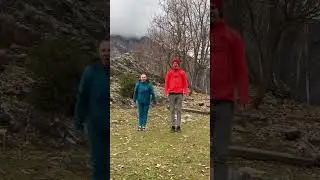 Фитнес тренировки