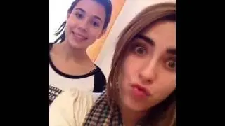 Vines de joszuckerman