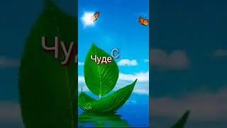 доброе утро